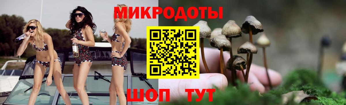 Галлюциногенные грибы Psilocybe Феодосия