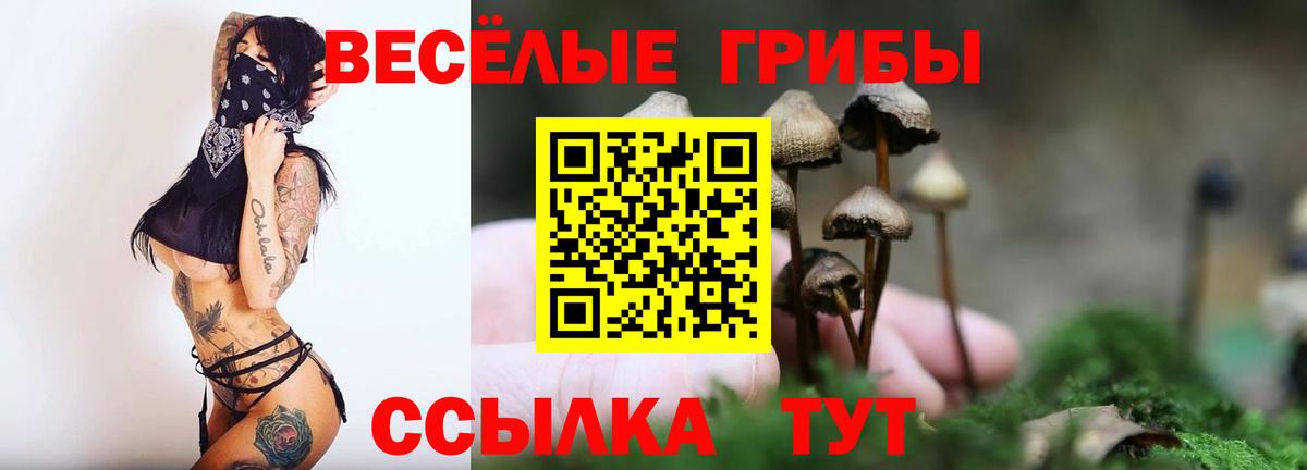 Феодосия  Псилоцибиновые грибы мицелий  наркота  Вход с VPN 
